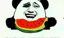 瓜瓜吃瓜点评,揭秘娱乐圈幕后真相