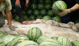 淄博疫情最新消息吃瓜,追踪病毒足迹，共筑防疫防线