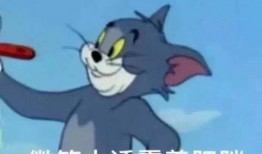 汤姆吃瓜头像,揭秘瓜界风云