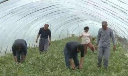 宿迁最新吃瓜事件,真相竟如此反转！