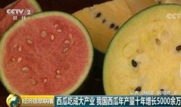 吃瓜群众吃到西瓜,吃瓜群众与西瓜的甜蜜邂逅