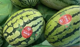 销售人员吃瓜,销售人员如何借势吃瓜提升业绩