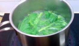 兰瓜煮水吃,探寻古老食材的养生智慧