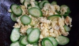 荷兰厄瓜多尔吃瓜,一场跨国“吃瓜”盛宴