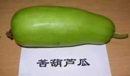 吃瓜吃到烂瓜,揭秘娱乐圈的真相与反思