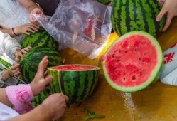 专门吃瓜的视频,视频解析