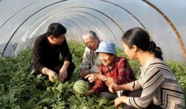 济南吃瓜奶奶,吃瓜奶奶的瓜香诱惑