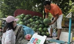 销售人员吃瓜,销售人员如何借势吃瓜提升业绩