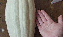 今天吃瓜了吗是病毒吗