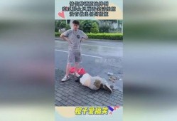 吃瓜情侣约会摔了