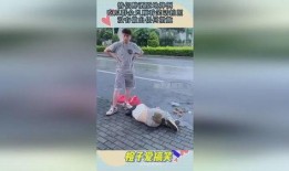 吃瓜情侣约会摔了