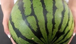 谁会喜欢吃沙瓜,揭秘沙瓜的独特魅力