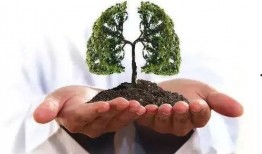 肺癌可以吃刺瓜,天然食疗的养生之道