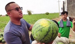 梦里看到别人吃瓜,揭秘梦中他人吃瓜的神秘寓意