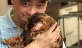 雾里吃瓜,吃瓜群众如何洞察风云变幻