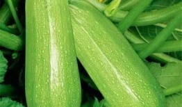 星吃瓜,娱乐圈幕后故事大揭秘