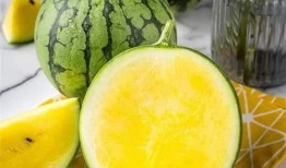 西瓜不吃瓜吃菠萝,夏日狂欢吃菠萝