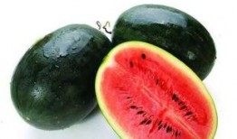 147258吃瓜,揭秘网络热词背后的吃瓜文化