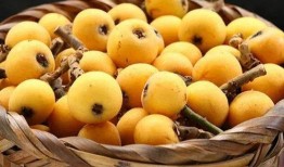 云朵直播吃瓜,一场别开生面的吃瓜盛宴