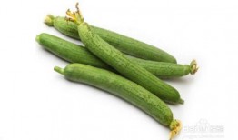 潮州北堤吃瓜,尽享清凉时光