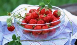 草莓吃瓜q群,畅享欢乐时光的甜蜜聚集地