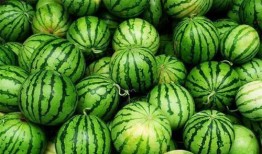 今天吃瓜了吗是病毒吗