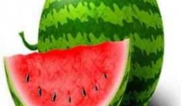 吃粟子瓜会胖吗,吃它真的会发胖吗？