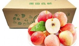 冬吃苹果夏吃瓜,冬苹果夏瓜，健康生活指南