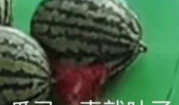 吃瓜吃得吐了