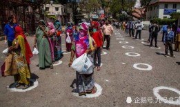 印度人吃猴子吃瓜,猴子与瓜果共舞的餐桌奇观
