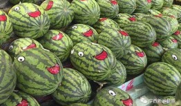 小范在线吃瓜,揭秘娱乐圈幕后故事