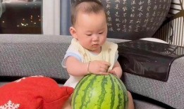 大宝宝吃瓜,揭秘娱乐圈幕后故事