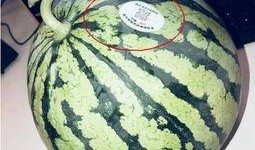 威海吃瓜网红,威海网红吃瓜达人带你探秘当地美食圈