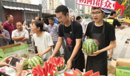 吃瓜群众真实现场,吃瓜群众的真实观感与幕后故事