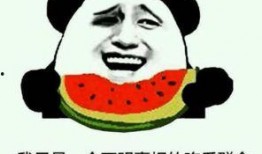 吃瓜到底对不对