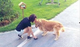 小狗吃瓜被噎住视频,温馨救援瞬间引网友热议