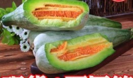孕妇吃脆瓜,脆瓜助力孕妇健康营养餐