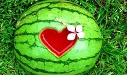 梦到吃瓜,揭秘梦中吃瓜的神秘寓意