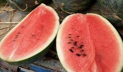 短剧圈子最新吃瓜,揭秘幕后黑幕，明星恋情再掀波澜