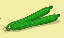 夏天吃瓜脾胃不好,谨防脾胃受损——吃瓜养生攻略