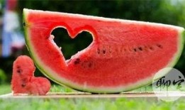 老公吃瓜的样子,揭秘老公吃瓜的狂热瞬间