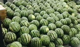 校园椅子吃瓜,揭秘校园里的八卦趣事