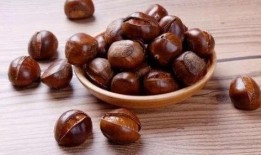 呆瓜吃板栗,呆瓜的板栗美食之旅