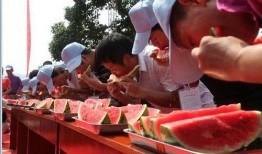 瓜瓜吃瓜语言活动,趣味横生语言盛宴