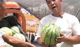 吃瓜届顶流,揭秘吃瓜群众的狂欢盛宴