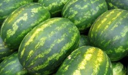 大美吃瓜,揭秘娱乐圈的甜蜜与苦涩