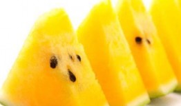 男女分享吃瓜区别,男女分享吃瓜的趣味区别