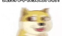 天天暴躁吃瓜,揭秘娱乐圈的疯狂幕后