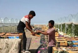 民国吃瓜群众就位,见证时代变迁的民间视角