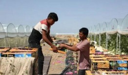 民国吃瓜群众就位,见证时代变迁的民间视角